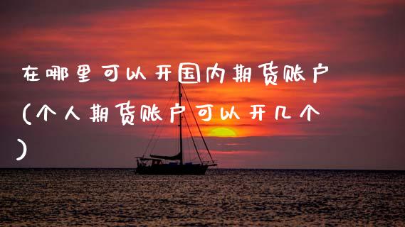 在哪里可以开国内期货账户(个人期货账户可以开几个)_https://www.zztgc.com_期货直播_第1张