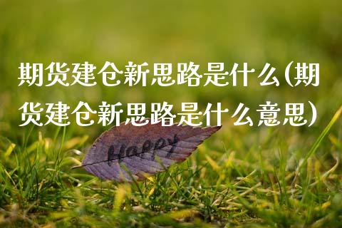 期货建仓新思路是什么(期货建仓新思路是什么意思)_https://www.zztgc.com_原油期货_第1张