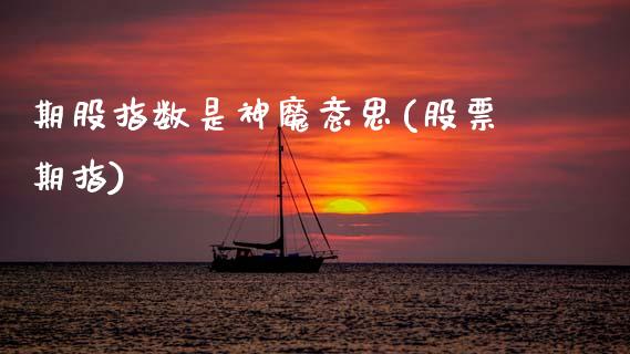 期股指数是神魔意思(股票期指)_https://www.zztgc.com_黄金期货_第1张