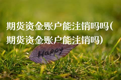 期货资金账户能注销吗吗(期货资金账户能注销吗)_https://www.zztgc.com_黄金期货_第1张