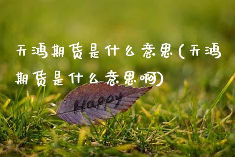 天鸿期货是什么意思(天鸿期货是什么意思啊)_原油期货_第1张_珍投期货网 天鸿期货是什么意思(天鸿期货是什么意思啊)_https://www.zztgc.com_原油期货_第1张