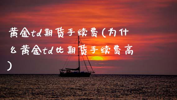黄金td期货手续费(为什么黄金td比期货手续费高)_https://www.zztgc.com_期货入门_第1张