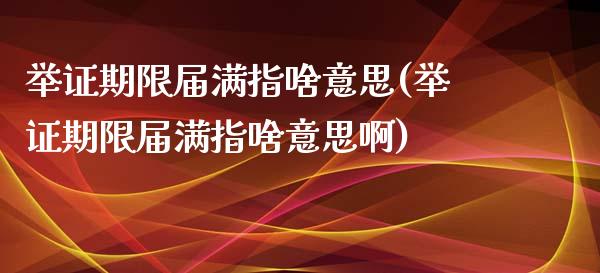 举证期限届满指啥意思(举证期限届满指啥意思啊)_https://www.zztgc.com_黄金期货_第1张