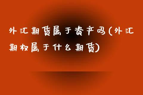 外汇期货属于资产吗(外汇期权属于什么期货)_https://www.zztgc.com_期货开户_第1张