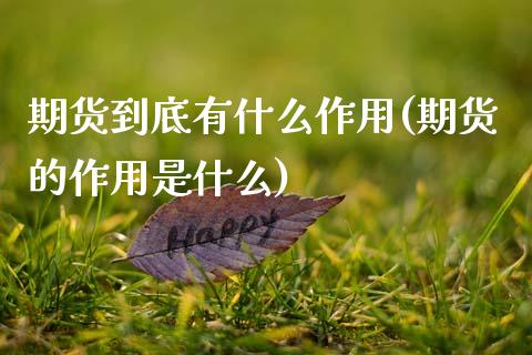 期货到底有什么作用(期货的作用是什么)_https://www.zztgc.com_期货直播_第1张
