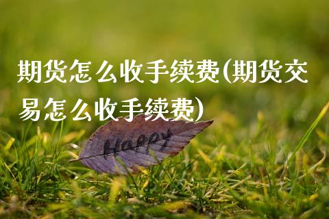 期货怎么收手续费(期货交易怎么收手续费)_https://www.zztgc.com_黄金期货_第1张
