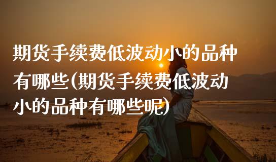 期货手续费低波动小的品种有哪些(期货手续费低波动小的品种有哪些呢)_https://www.zztgc.com_期货直播_第1张