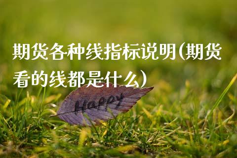 期货各种线指标说明(期货看的线都是什么)_https://www.zztgc.com_期货入门_第1张