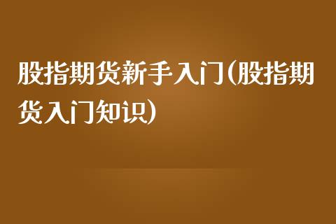 股指期货新手入门(股指期货入门知识)_https://www.zztgc.com_原油期货_第1张