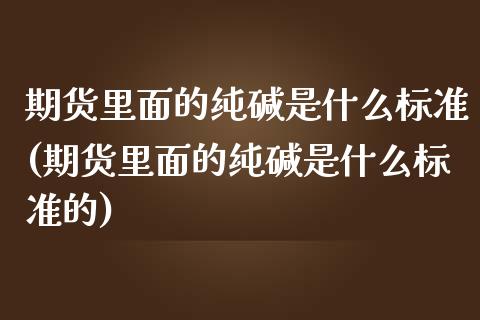 期货里面的纯碱是什么标准(期货里面的纯碱是什么标准的)_https://www.zztgc.com_黄金期货_第1张