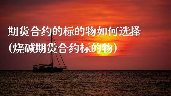 期货合约的标的物如何选择(烧碱期货合约标的物)_https://www.zztgc.com_期货行情_第1张