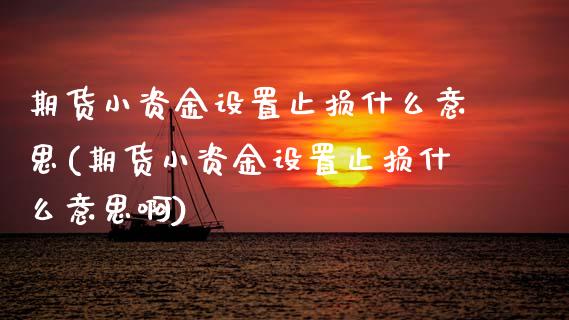 期货小资金设置止损什么意思(期货小资金设置止损什么意思啊)_https://www.zztgc.com_期货入门_第1张