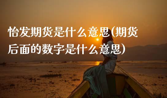 怡发期货是什么意思(期货后面的数字是什么意思)_https://www.zztgc.com_期货行情_第1张