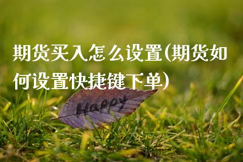 期货买入怎么设置(期货如何设置快捷键下单)_https://www.zztgc.com_黄金期货_第1张