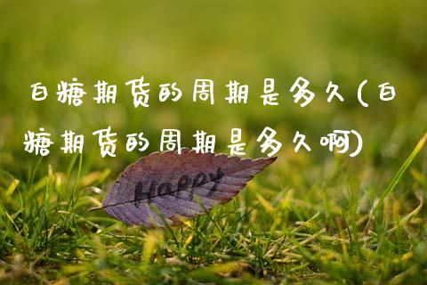 白糖期货的周期是多久(白糖期货的周期是多久啊)_https://www.zztgc.com_期货直播_第1张