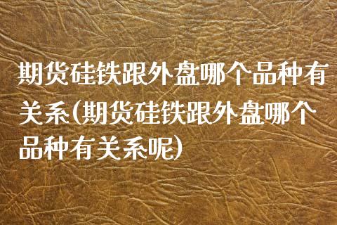期货硅铁跟外盘哪个品种有关系(期货硅铁跟外盘哪个品种有关系呢)_https://www.zztgc.com_期货直播_第1张