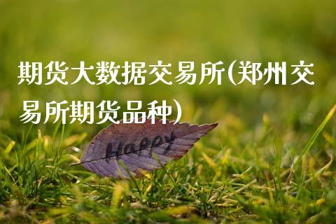 期货大数据交易所(郑州交易所期货品种)_https://www.zztgc.com_原油期货_第1张