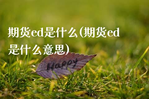 期货ed是什么(期货ed是什么意思)_https://www.zztgc.com_原油期货_第1张