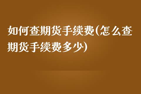 如何查期货手续费(怎么查期货手续费多少)_https://www.zztgc.com_期货入门_第1张