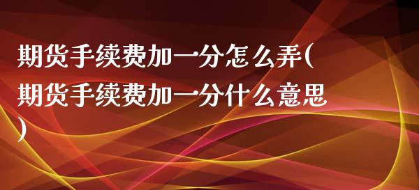 期货手续费加一分怎么弄(期货手续费加一分什么意思)_https://www.zztgc.com_期货入门_第1张