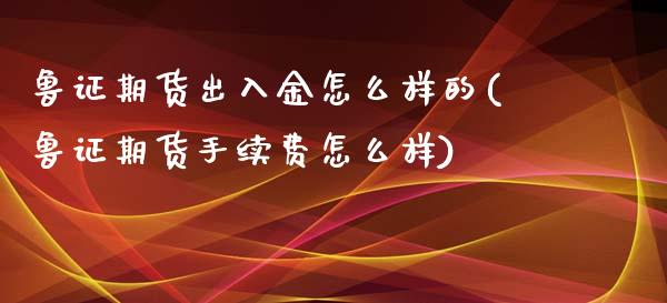 鲁证期货出入金怎么样的(鲁证期货手续费怎么样)_https://www.zztgc.com_期货直播_第1张