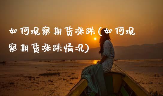 如何观察期货涨跌(如何观察期货涨跌情况)_https://www.zztgc.com_原油期货_第1张