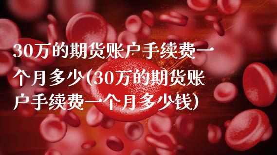 30万的期货账户手续费一个月多少(30万的期货账户手续费一个月多少钱)_https://www.zztgc.com_期货直播_第1张