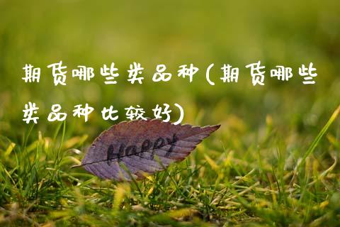 期货哪些类品种(期货哪些类品种比较好)_https://www.zztgc.com_期货入门_第1张