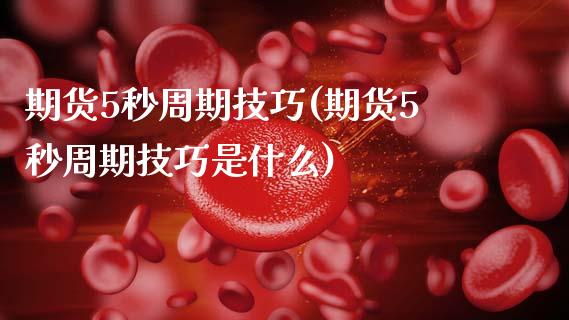 期货5秒周期技巧(期货5秒周期技巧是什么)_https://www.zztgc.com_期货入门_第1张