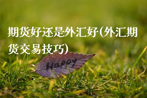 期货好还是外汇好(外汇期货交易技巧)_https://www.zztgc.com_期货直播_第1张