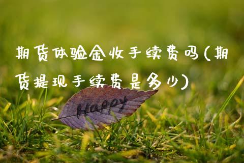 期货体验金收手续费吗(期货提现手续费是多少)_https://www.zztgc.com_期货入门_第1张