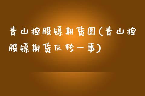 青山控股镍期货图(青山控股镍期货反转一事)_https://www.zztgc.com_黄金期货_第1张