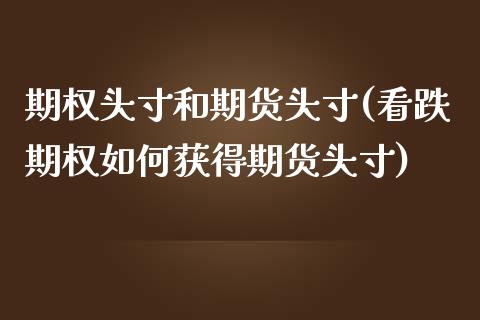 期权头寸和期货头寸(看跌期权如何获得期货头寸)_https://www.zztgc.com_原油期货_第1张