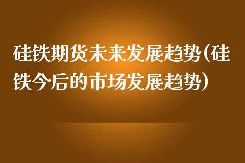 硅铁期货未来发展趋势(硅铁今后的市场发展趋势)_https://www.zztgc.com_黄金期货_第1张