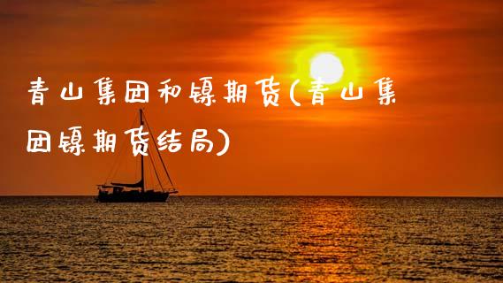 青山集团和镍期货(青山集团镍期货结局)_https://www.zztgc.com_期货行情_第1张