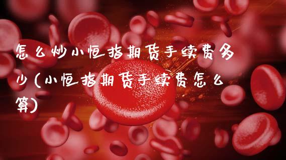 怎么炒小恒指期货手续费多少(小恒指期货手续费怎么算)_https://www.zztgc.com_期货入门_第1张