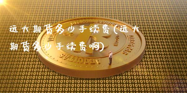 远大期货多少手续费(远大期货多少手续费啊)_https://www.zztgc.com_黄金期货_第1张
