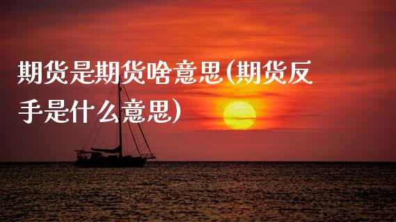 期货是期货啥意思(期货反手是什么意思)_https://www.zztgc.com_期货行情_第1张