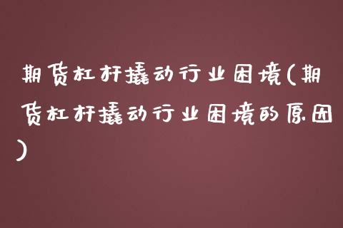 期货杠杆撬动行业困境(期货杠杆撬动行业困境的原因)_https://www.zztgc.com_期货直播_第1张