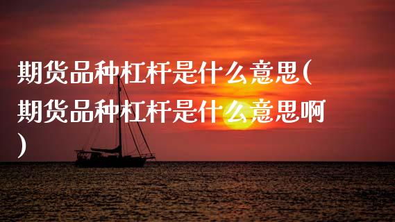 期货品种杠杆是什么意思(期货品种杠杆是什么意思啊)_https://www.zztgc.com_期货直播_第1张