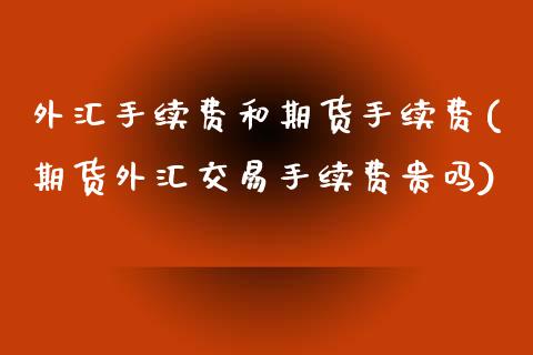 外汇手续费和期货手续费(期货外汇交易手续费贵吗)_https://www.zztgc.com_期货开户_第1张
