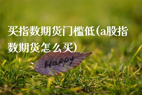买指数期货门槛低(a股指数期货怎么买)_https://www.zztgc.com_原油期货_第1张