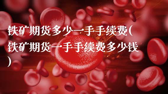 铁矿期货多少一手手续费(铁矿期货一手手续费多少钱)_https://www.zztgc.com_期货直播_第1张