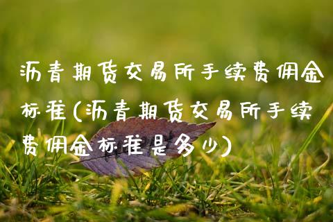 沥青期货交易所手续费佣金标准(沥青期货交易所手续费佣金标准是多少)_https://www.zztgc.com_期货直播_第1张