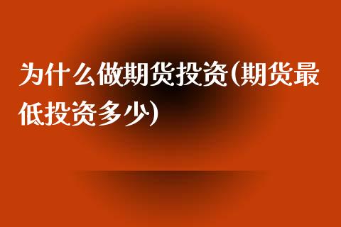 为什么做期货投资(期货最低投资多少)_https://www.zztgc.com_期货行情_第1张