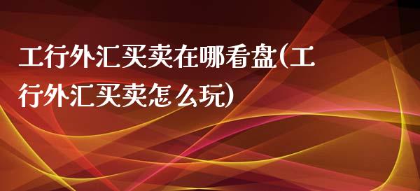 工行外汇买卖在哪看盘(工行外汇买卖怎么玩)_https://www.zztgc.com_黄金期货_第1张