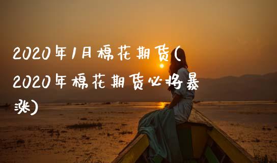 2020年1月棉花期货(2020年棉花期货必将暴涨)_https://www.zztgc.com_期货入门_第1张