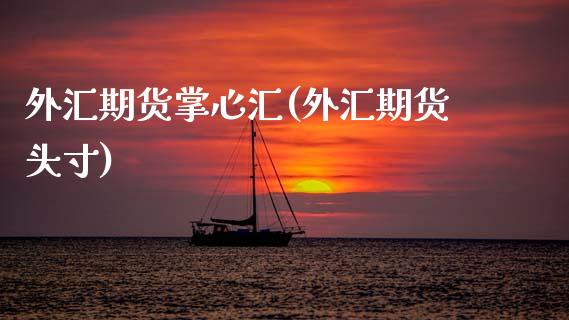 外汇期货掌心汇(外汇期货头寸)_https://www.zztgc.com_期货直播_第1张