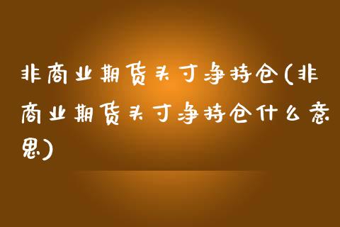 非商业期货头寸净持仓(非商业期货头寸净持仓什么意思)_https://www.zztgc.com_期货入门_第1张