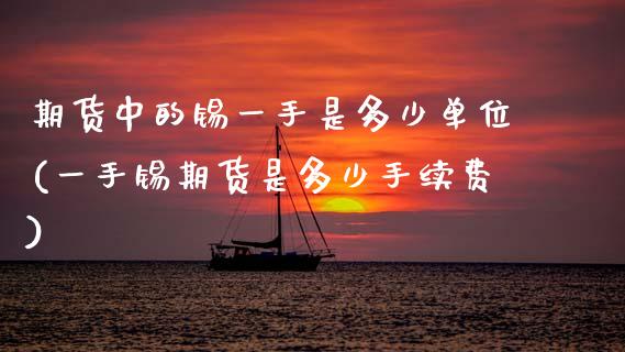 期货中的锡一手是多少单位(一手锡期货是多少手续费)_https://www.zztgc.com_期货直播_第1张